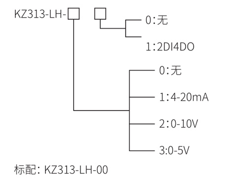 KZ313-LH 測力控制器